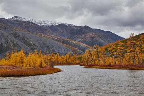 Lake Of Jack London In Kolyma Stock Image Image Of River Travel