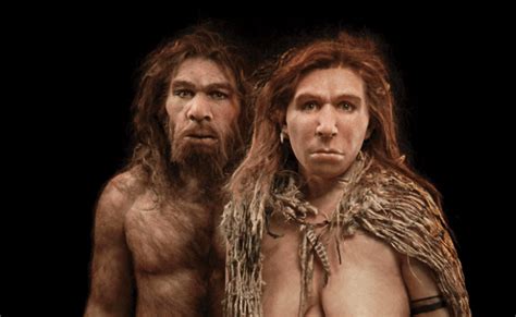 los neandertales tenían mayor semejanza genética con los ‘homo sapiens que con los denisovanos