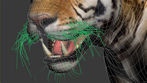 Tiger 3d Model Animated Rigged Cgtrader