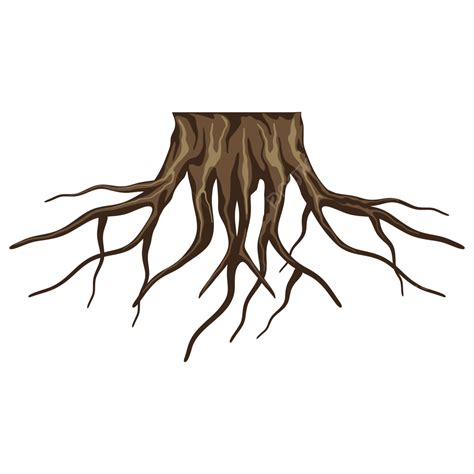 Rooted Tree Clipart Hd Png Root Of A Tree Vector Illustration Root