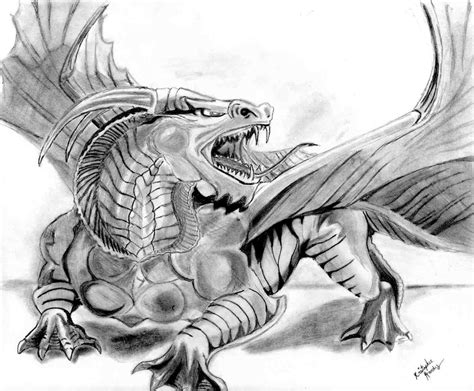 Dragon Drawing Dragons By Dragoon000 On Deviantart Wallgz