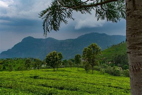 8 Memorable Places To Visit In Coonoor This Summer Vacation