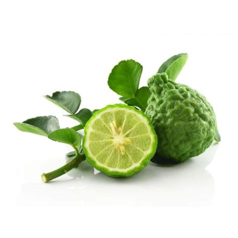 Bergamot is a fragrant citrus fruit from the tropical, citrus bergamia plant. Natural Essential Oils : Bergamot (Citrus Bergamia)