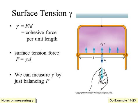 Surface Tension Definition Formula Unit Causes Exampl
