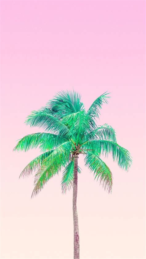 25 Incomparable Pink Aesthetic Wallpaper Palm Tree You Can Get It At No