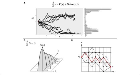 Different Approaches To Study Continuous Time Stochastic Models Of