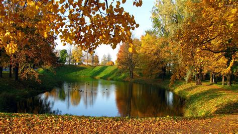 Lake In The Autumn Garden Wallpaper Nature Wallpapers 37871