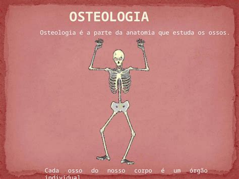 PPT OSTEOLOGIA Osteologia é a parte da anatomia que estuda os ossos