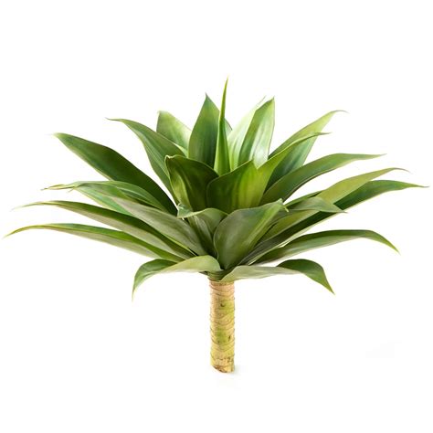 Buy Velener Artificial Agave Succulent Plant 28 Inches Big Size
