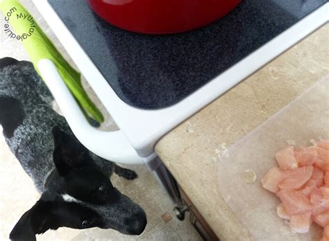 Homemade diabetic dog treats 3. Homemade Diabetic Dog Food Recipe - Ruby Stewbie