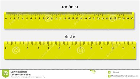 Rulers Marked In Centimeters And Inches Stock Vector Illustration Of