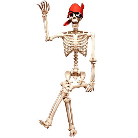 5 Ft Pose N Stay Life Size Skeleton Full Body Realistic Human Bones