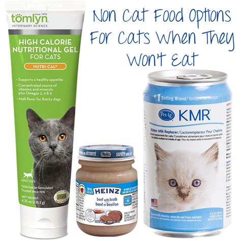 When it comes to cat food, there is no one size fits all solution. High Calorie Alternatives to Hills A/D For Feeding Your ...