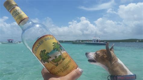 Chilled Dills Vodka Abaco Islands Bahamas Chilleddillsvodka