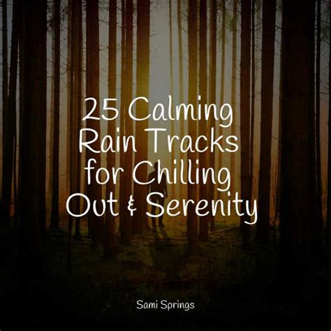 25 Calming Rain Tracks For Chilling Out And Serenity By Rain Recorders
