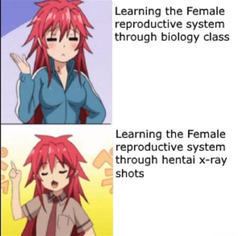 Hentai Is Spicy Science Class R Nuxtakusubmissions