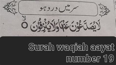 Surah Waqiah Ayat 19 Surah Waqiah Ayat 19 Surah Waqiah Al Waqiah