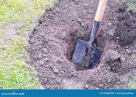 Shovel Digging Holes In Ground Working In Garden Stock Photo Image