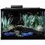 Tetra 20 Gallon ColorFusion Aquarium Kit W/ Filter Heater LED & Plants