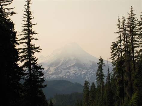 Mthood National Forest Oregon National Forest Natural Landmarks