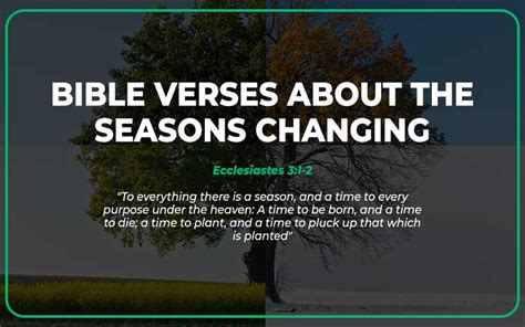 25 Bible Verses About The Seasons Changing Scripture Savvy