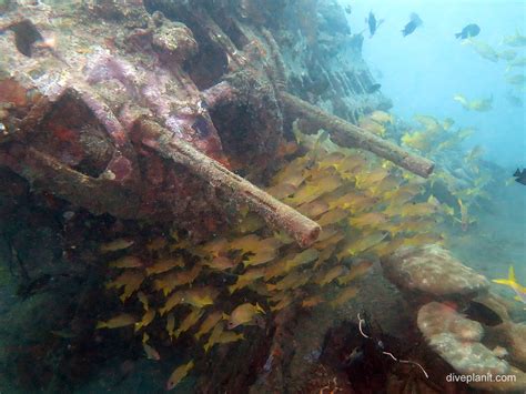 B17 American Bomber Wreck Dive Honiara Solomon Islands