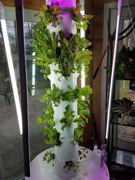 If you get one more accessory, you will save 30% on the shipping of these ancillary products so you may choose extra rockwool or a tomato cage or dolly, if either of those fit your needs. Tower Garden 24 Days | Tower garden, Garden patio ...