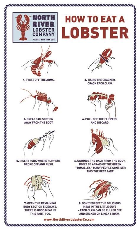 Infographic How To Eat A Lobster Food Republic