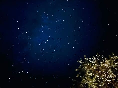 Iphoneで 星空 を綺麗に撮影する方法 エレクトロニクス Leon レオン オフィシャルwebサイト
