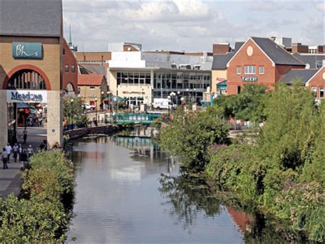 We did not find results for: Flowers Chelmsford