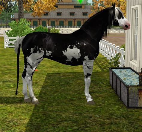 New Sims 3 Horse Website Sims Horses Sims 3
