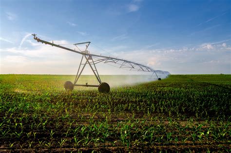Irrigation System Watering Corn Field On Summer Day Magazine