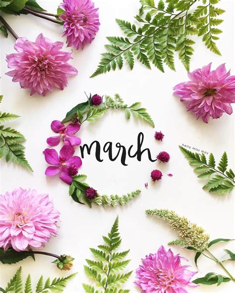 A Joyful Journey — Hello Miss May Month Flowers Months In A Year