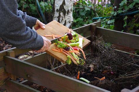 Composting At Home Everything You Need To Know The Eco Experts