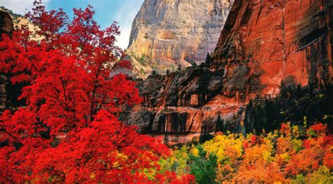 Why Fall Is The Best Time To Visit Southern Utah Perry