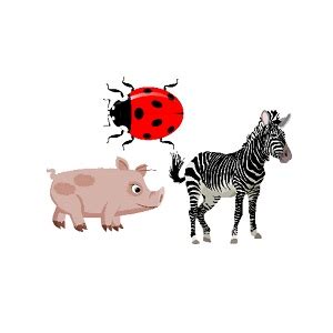 ORTHO CREATIONS Syllabes En Vrac Animaux Ferme Insectes Sauvages