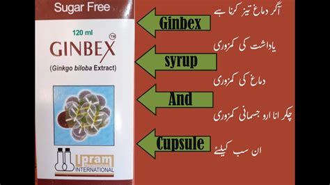 Ginbex Syrup Capsule Ginko Biloba Uses In Urdu Hindi Youtube