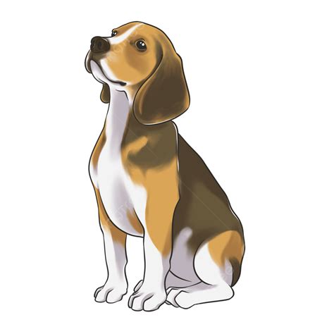 Dibujar A Mano Ilustración Beagle Png Beagle Perro Mascota Png Y