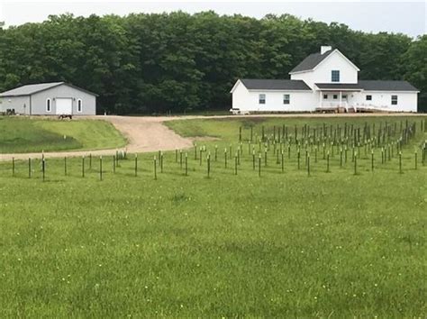 Bandb — Perrone Vineyards And Farmhouse Stay