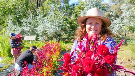 Flower farmer's final harvest for Mother's Day highlights industry