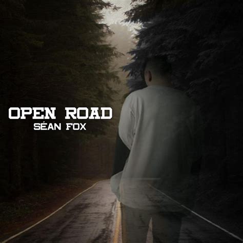 open road single by seán fox spotify