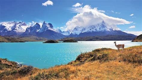 Top Unbelievable Attractions And Things To Do In Chile Museuly
