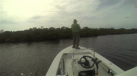 Fly Fish Sw Florida Rookery Bay Youtube