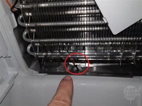 Ice buildup is one issue that can cause a fridge to leak. How to Fix AND PREVENT Ice Build Up in Your Freezer | Ice ...