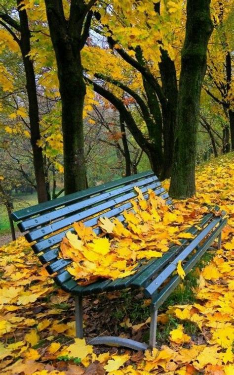 Пин от пользователя Eva на доске MY Autumn | Осенний пейзаж, Пейзажи, Осенние картинки