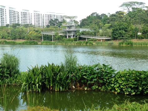 Yishun Pond Park Parks And Nature Reserves Gardens Parks And Nature