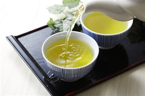 日本茶の種類やお茶をおいしく入れるコツ、売れ筋日本茶ランキングtop10 Trend Plus（トレンドプラス）