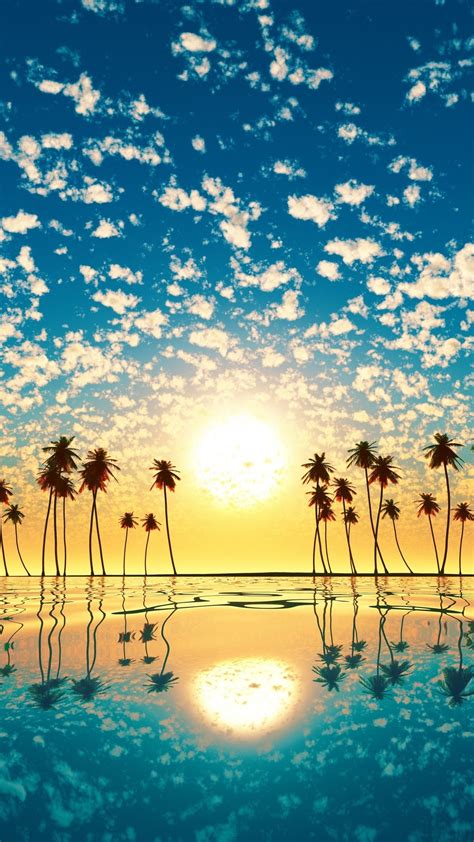 Palm Trees Reflection Sunset Cd Wallpaper 1080x1920