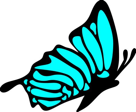 Side Butterfly Svg Over 800 Free Svg Files
