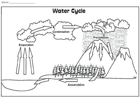 Free coloring pages of jesus capture jesus walks water. Water Cycle Coloring Page at GetColorings.com | Free ...